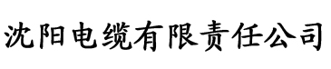 理论片.电缆厂logo